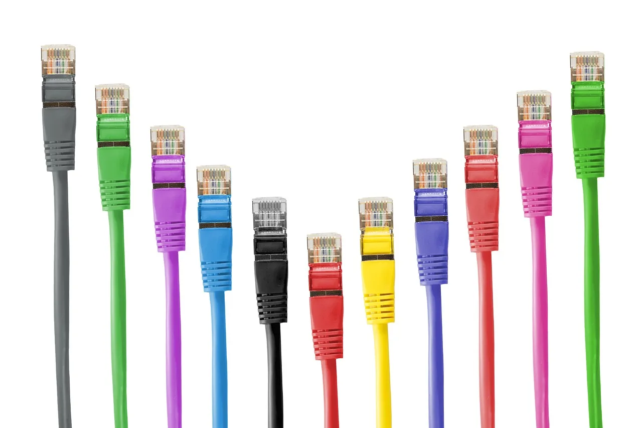 network plug, network cable, cable, patch, patch cord, rj, rj45, rj-45, network, management, dsl, data processing, connection, plug, lan, lan cable, network cable, network cable, network cable, cable, cable, cable, cable, cable, rj45, network, plug, lan, lan cable, lan cable. VoIP systems: the written trial that separates real contenders