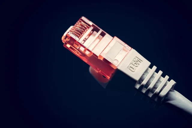 cat, pet, communication, computer, 5, ethernet, network, networking, cable, bandwidth, broadband, connect, connection, connector, data, internet, technology, telecommunications, equipment, wire, closeup, blue computer, animal, blue technology, blue laptop, blue data, blue network, blue community, blue internet, blue communication. Business internet quotes: 6 bill lines, 4 clauses to check