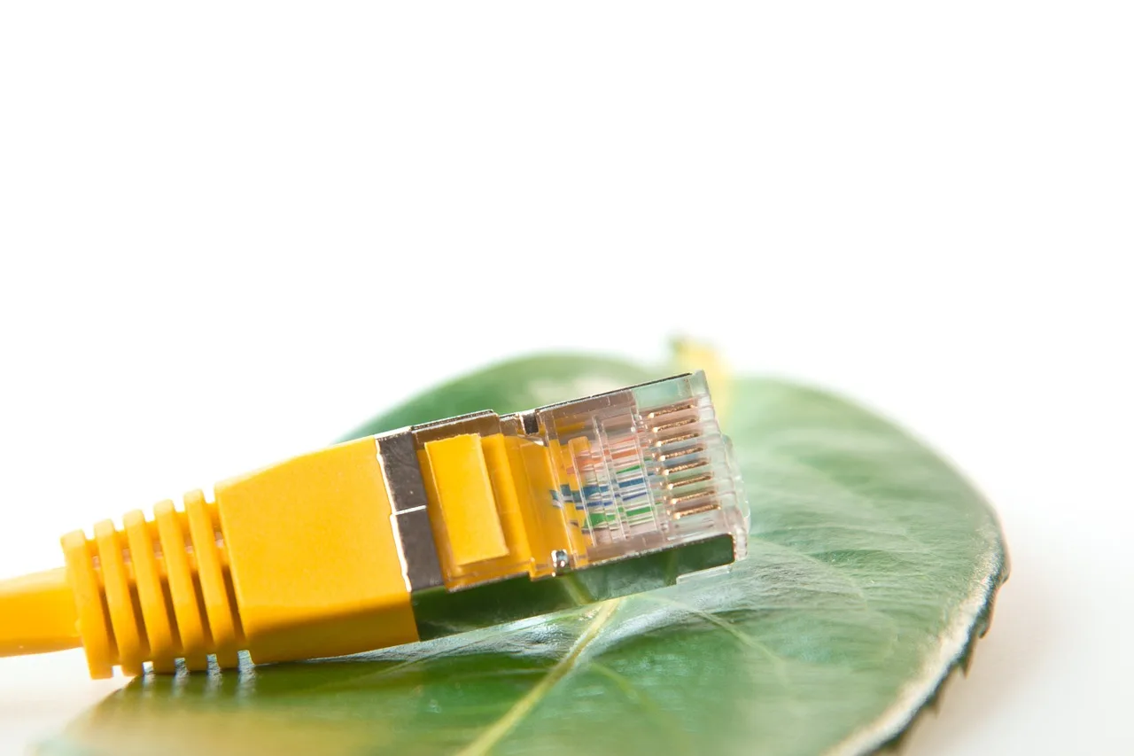network cable, rj45, patch, patch cord, network, cable, management, data processing, rj-45, connection, plug, lan, network plug, lan cable, rj, macro, yellow, hardware, computer, edp, nature, leaf, eco. Provider comparisons: a small-business evaluation method
