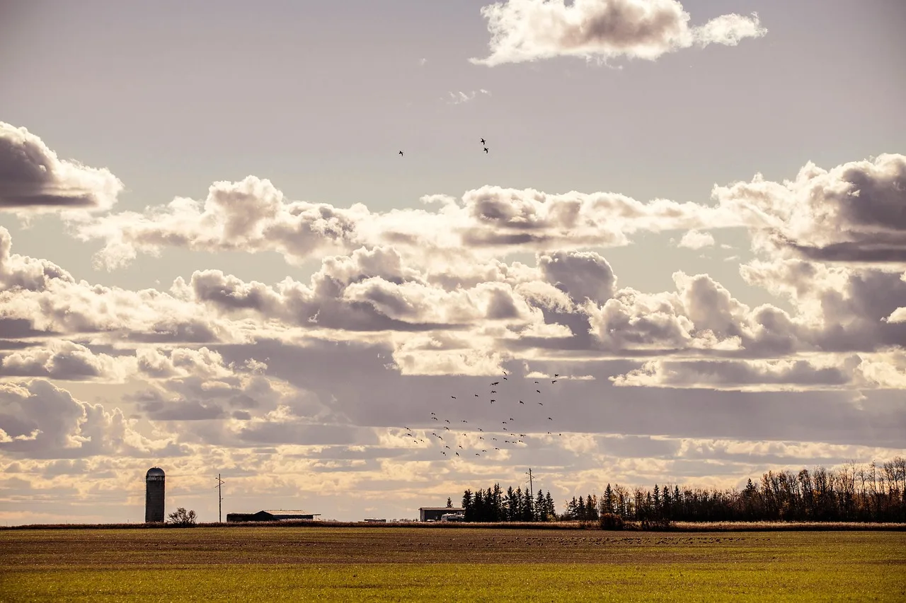 farm, field, rural, agriculture, canola, silo, ranch, cottage, house, countryside, landscape, sky, clouds, idyllic, nature, canada. Rural Business Internet in Canada: When to Stop Patching